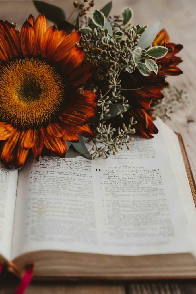 Reading the Bible for the First Time