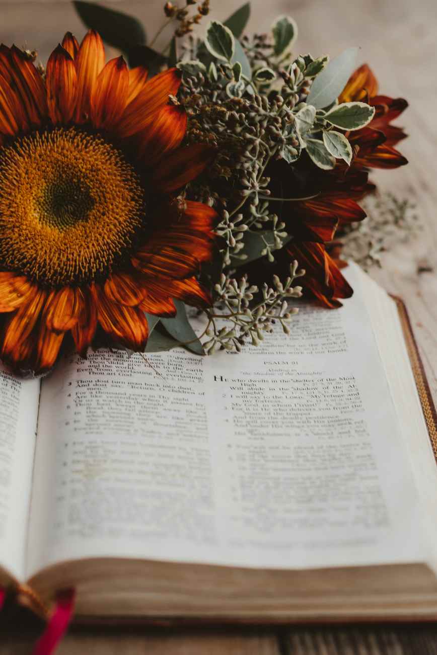 Reading the Bible for the First Time